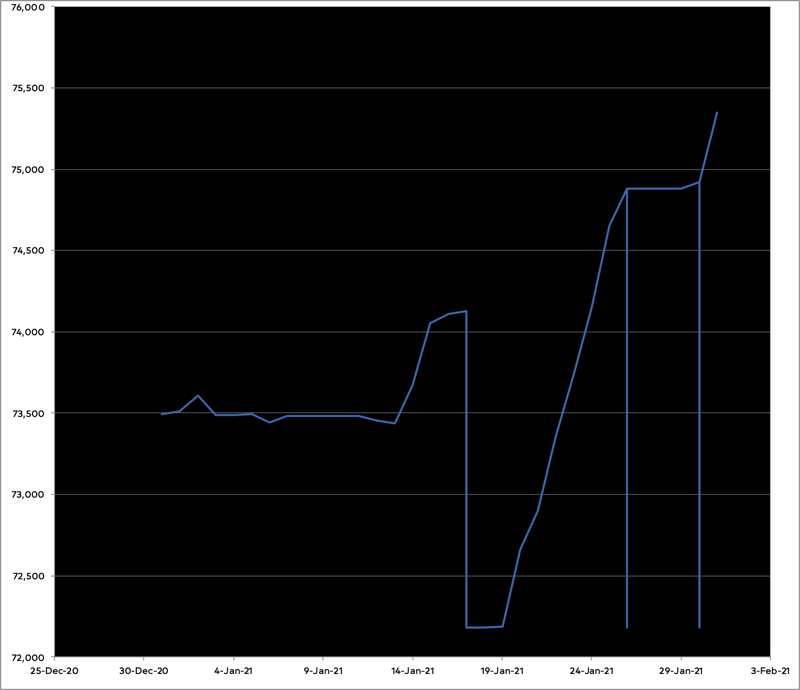 Graph of progress on the novel for January 2021. 