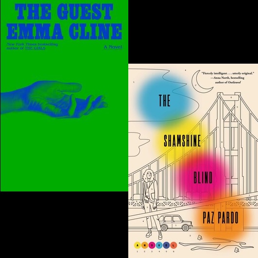 2024 Tournament of Books: The Guest vs The Shamshine Blind