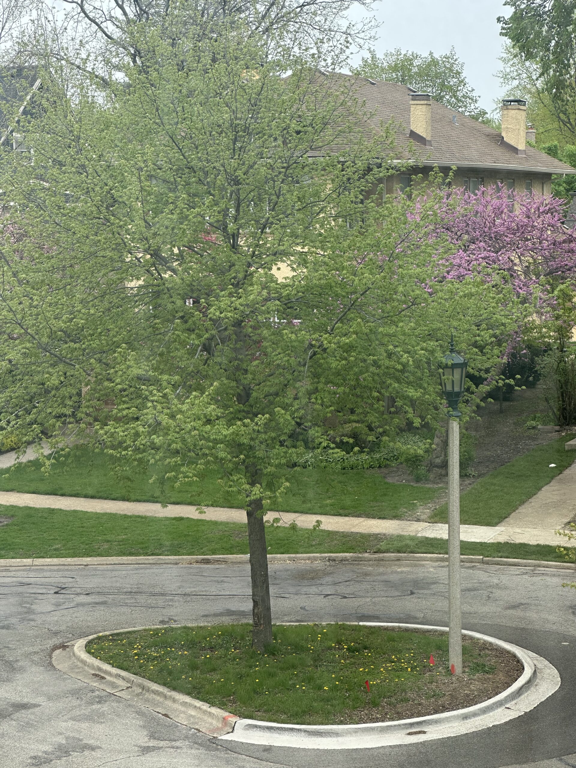 Writerly resolutions: April status
