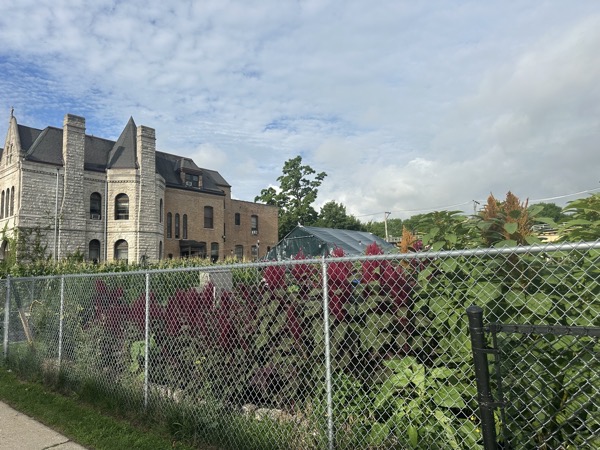 The community farm on the site of the St James church, The rectory building is visible in the background.