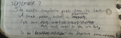 Photo of the handwritten journal entry. The text is in the body of the post