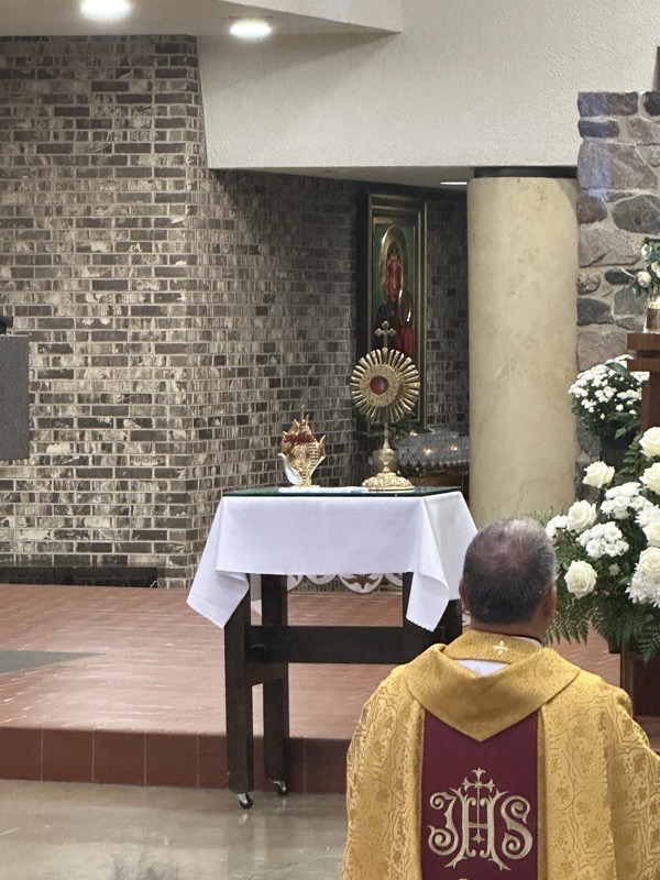 Relics of Saint John Brebeuf on display for veneration after the Mass