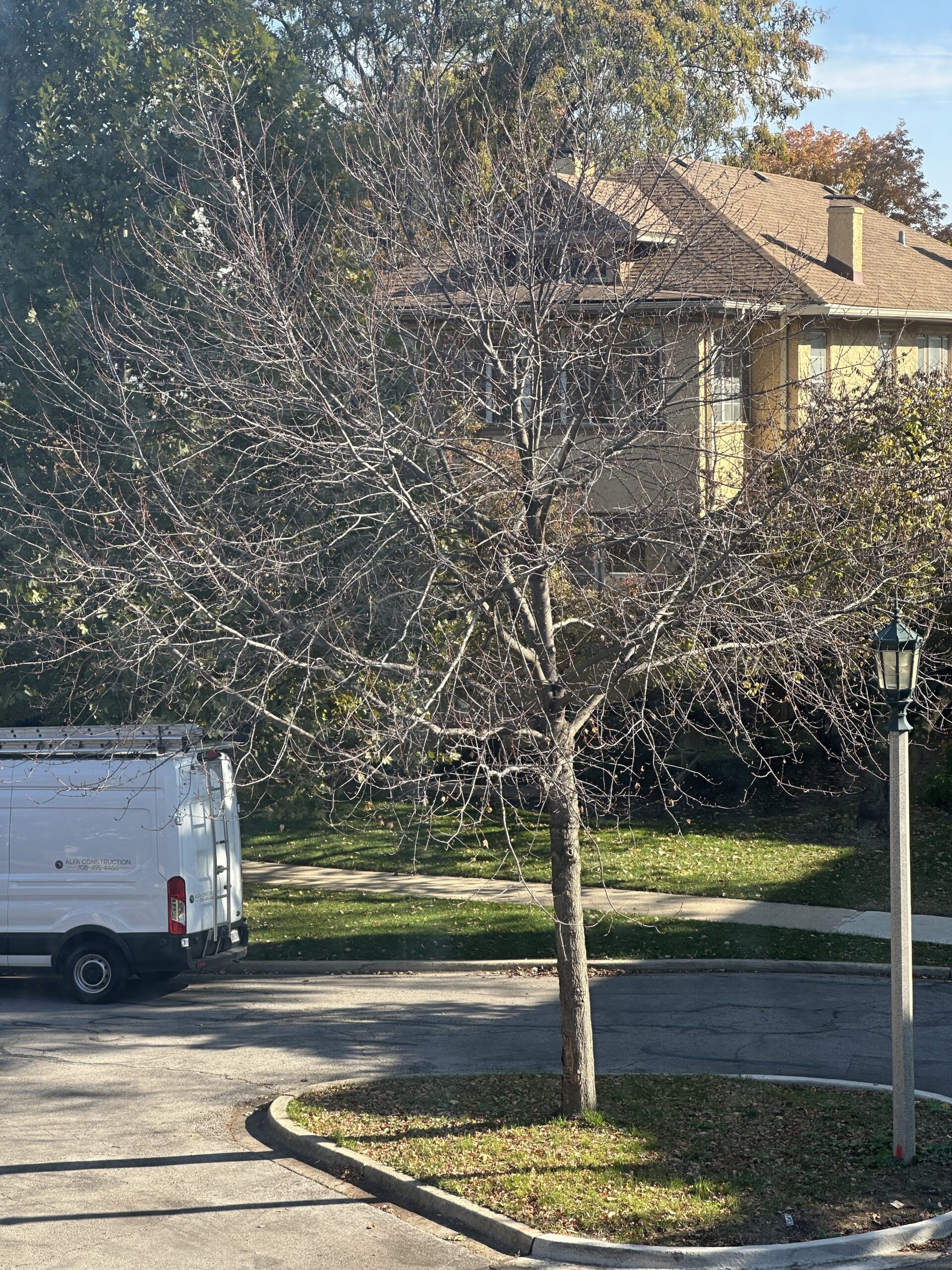 Writerly resolutions: October status