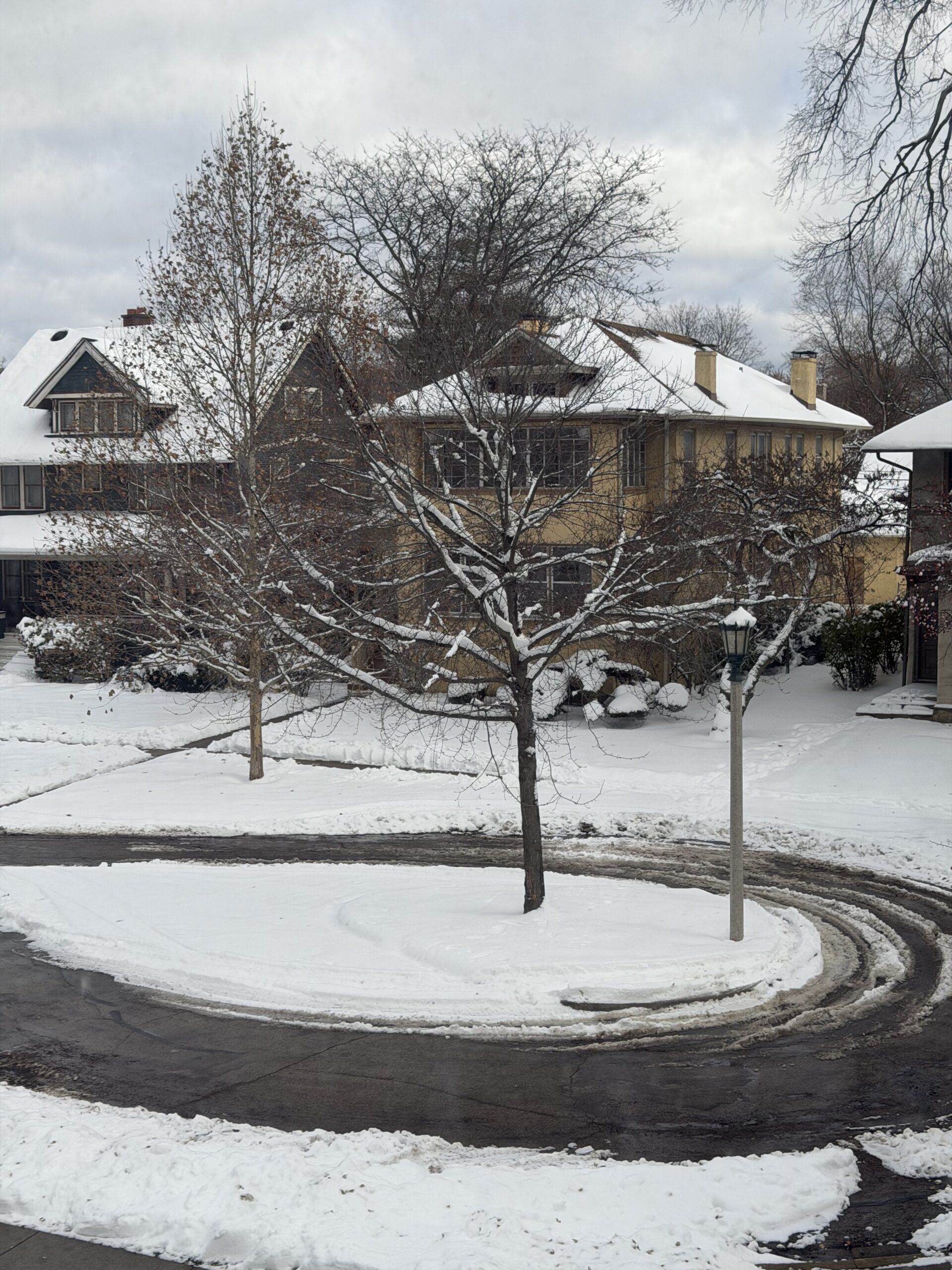 Writerly resolutions: November status