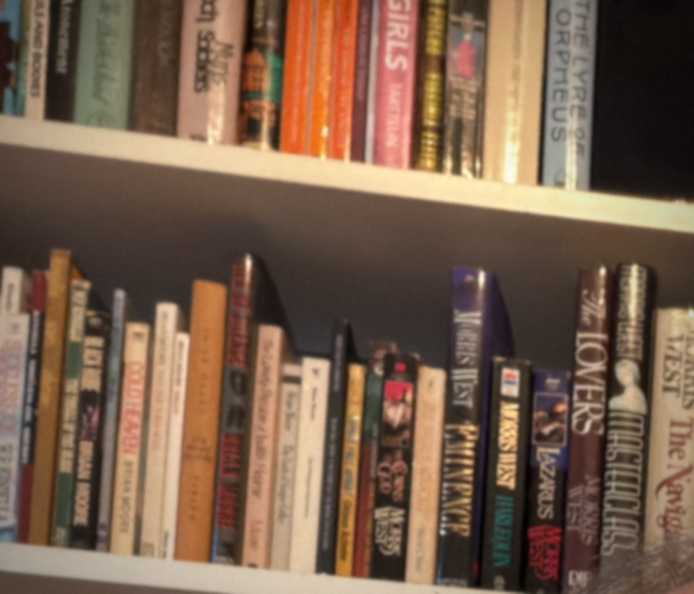 My favorite reads of 2025